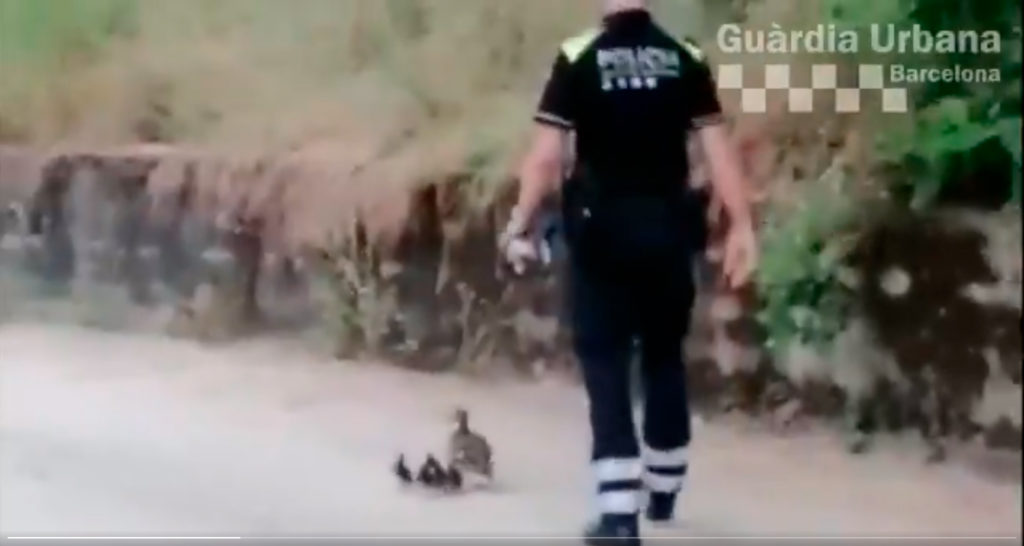 Guardia Urbana bcn