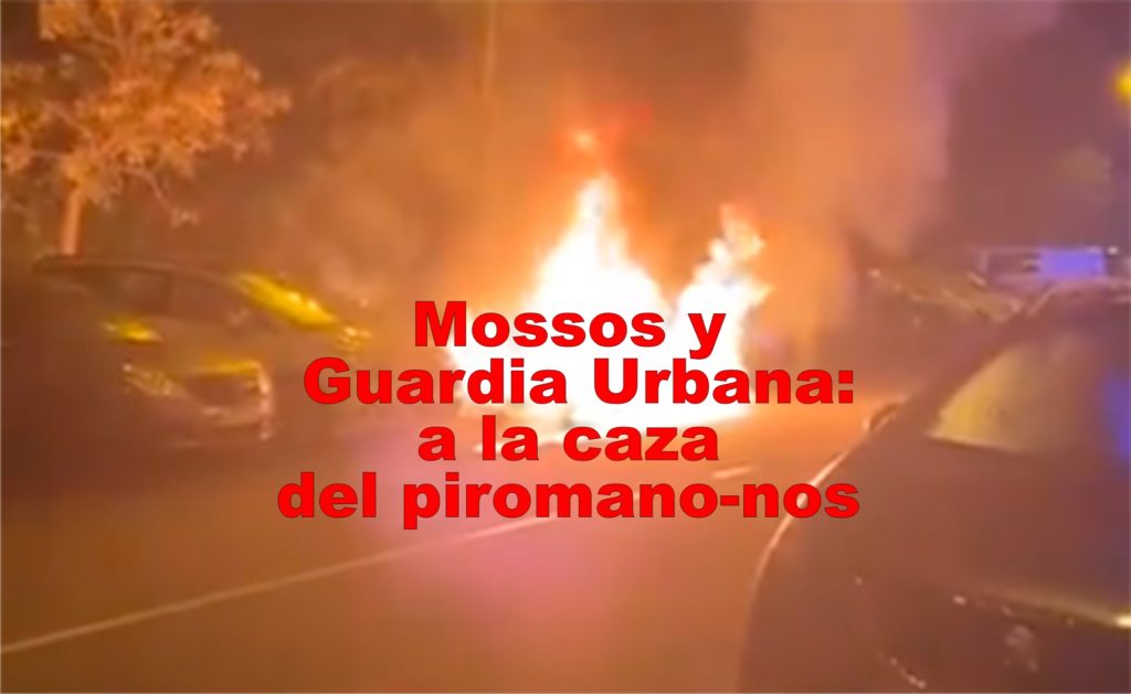 caza piromano.jpg 70