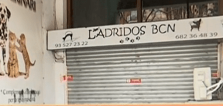 Ladridod (3)