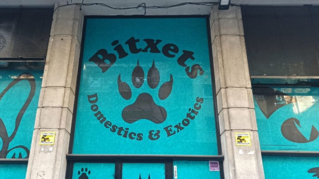 bitxets-170321-1536x864