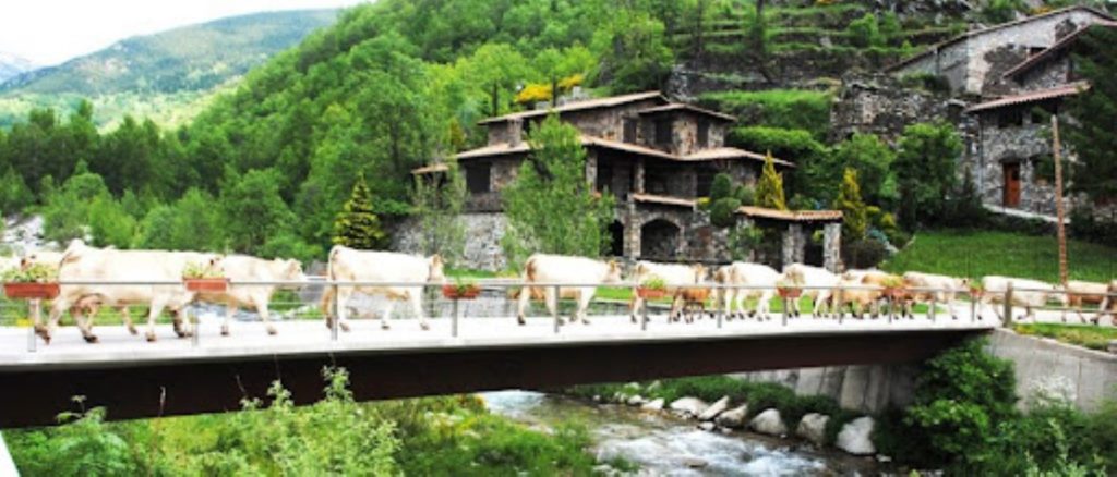 SETCASES VAQUES PORTADA