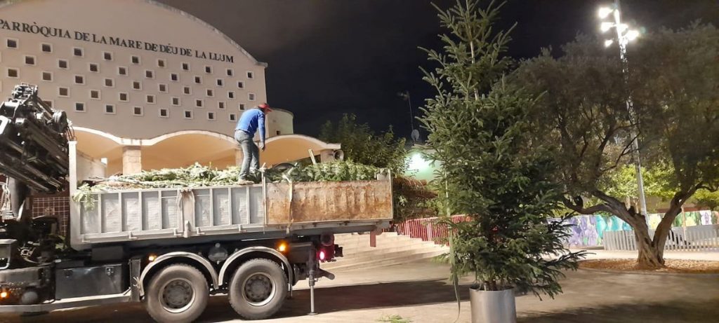 Arbre de Nadal Portada