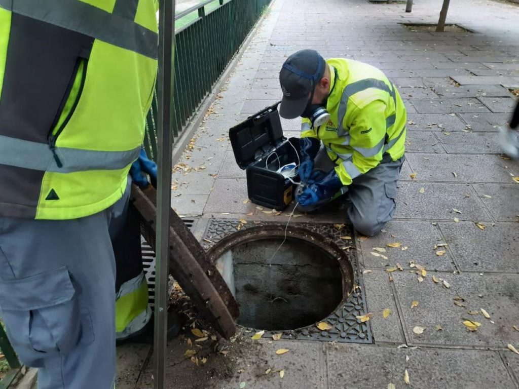 Desratizacion PORTADA