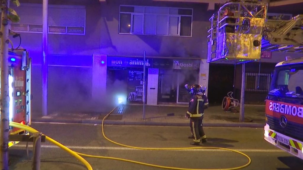 incendi-botiga-animals-llum (1) 1200