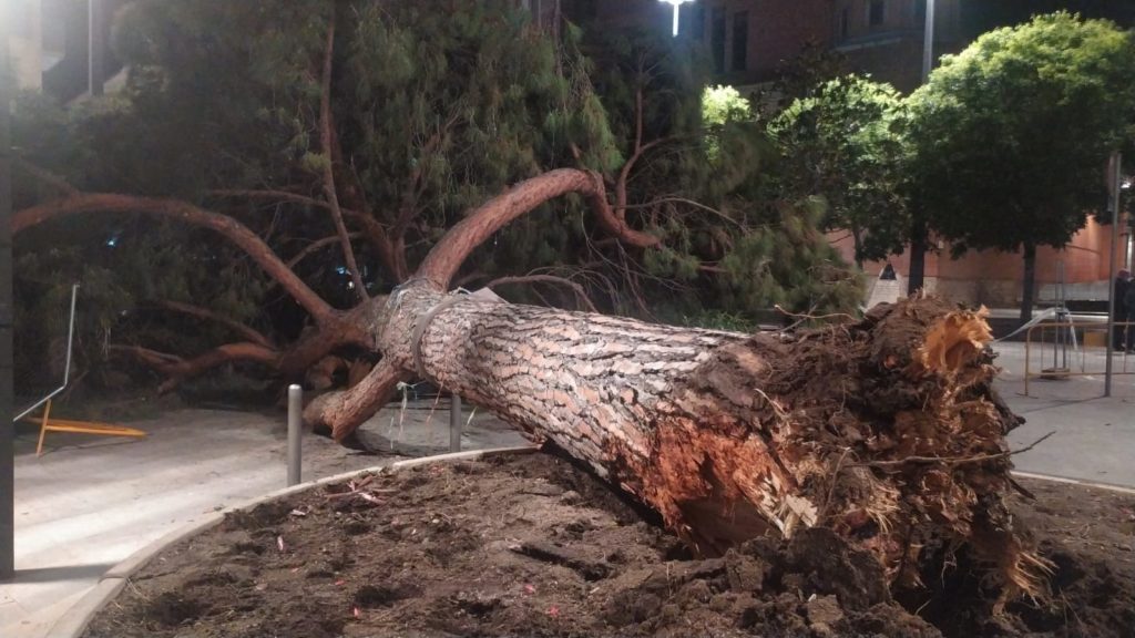 WhatsApp Image 2022-05-07 at 08.51.42 (1)