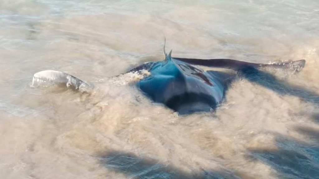 DIARI DE TARRAGONA PORTADA