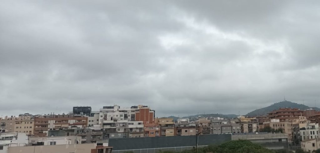 WhatsApp Image 2022-10-17 at 09.55.06 (2)