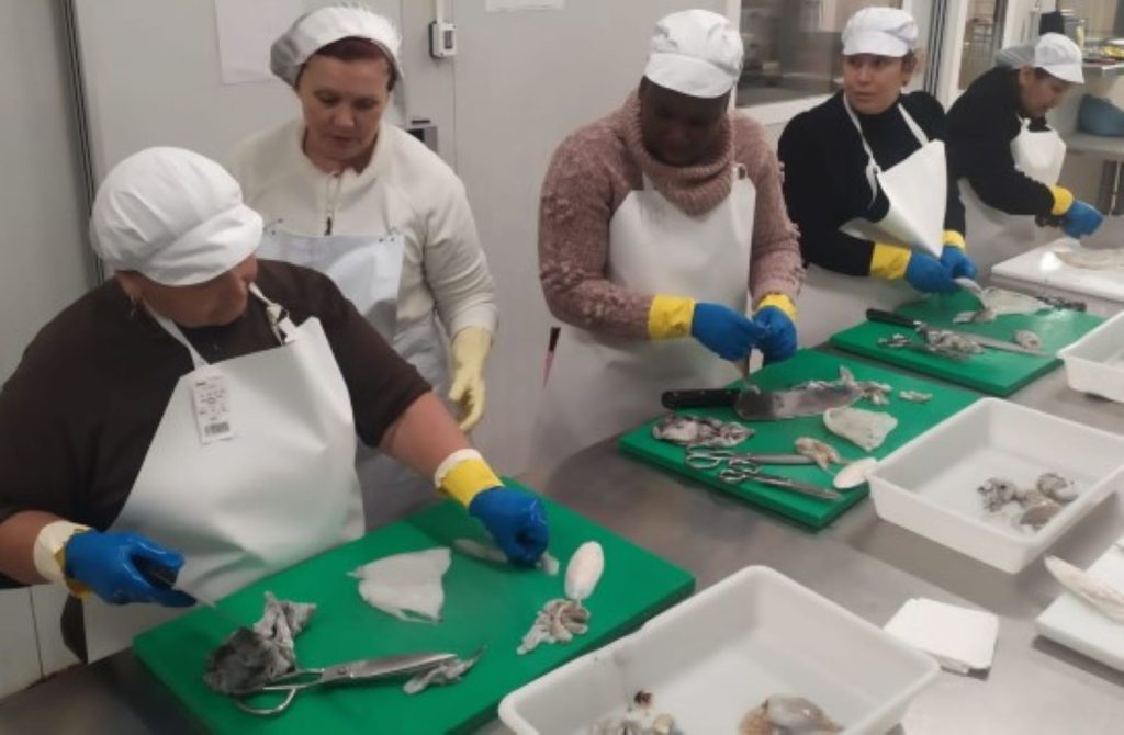 INSERDONES RET PORTADA