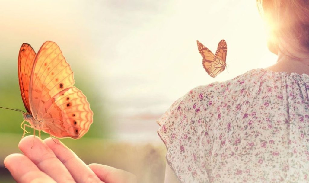 PAPALLONA RETALLADA PORTADA