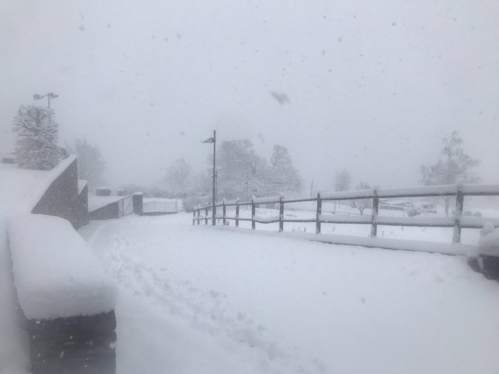 NEU