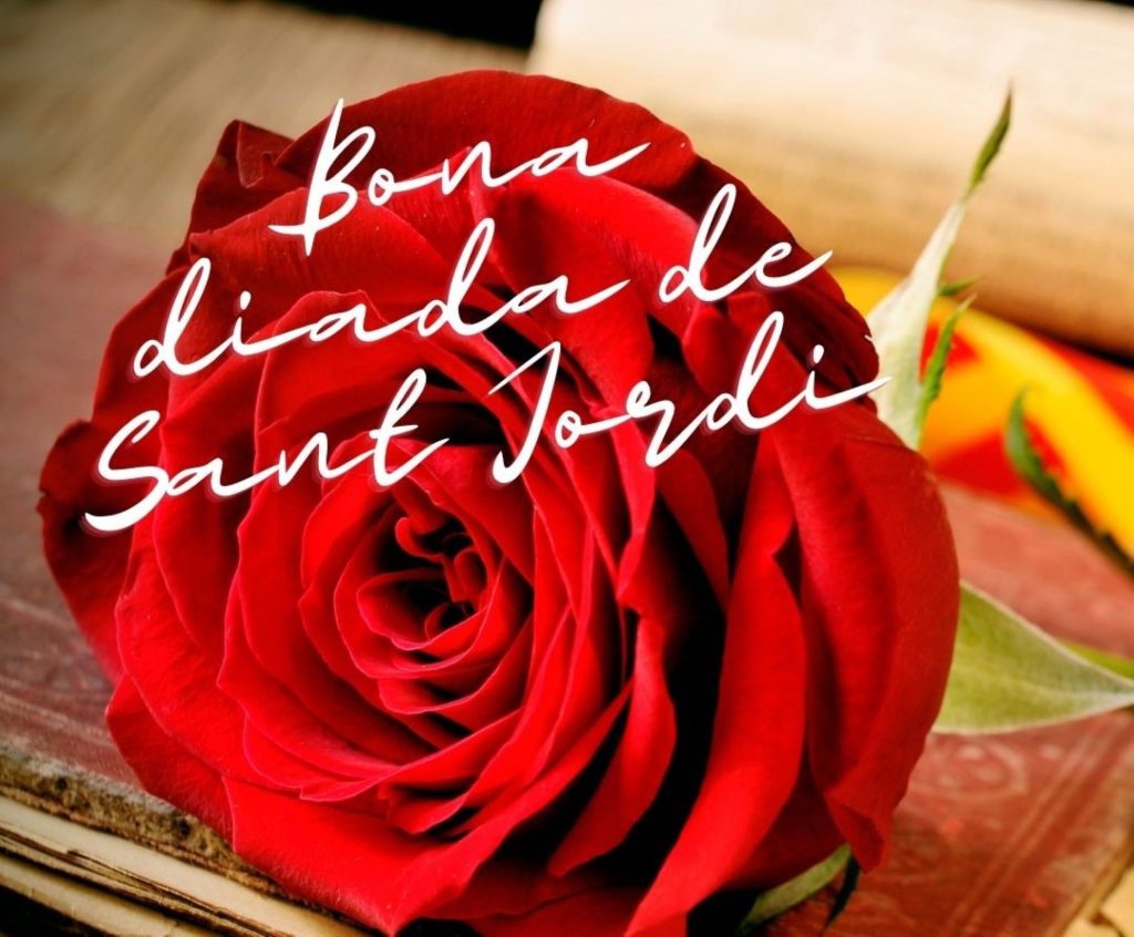 SANT-JORDI PORTADA 23