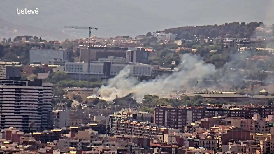 Un incendio en L'Hospitalet de Llobregat quema 2.600 m2 de cañas ...