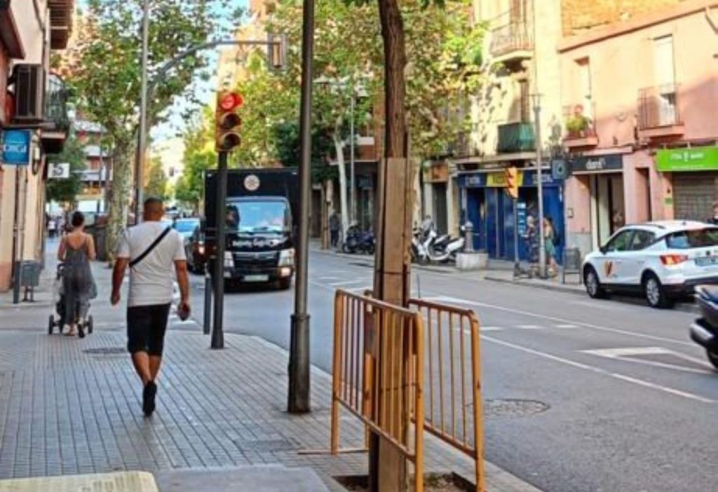 ARBOL PORTADA 3