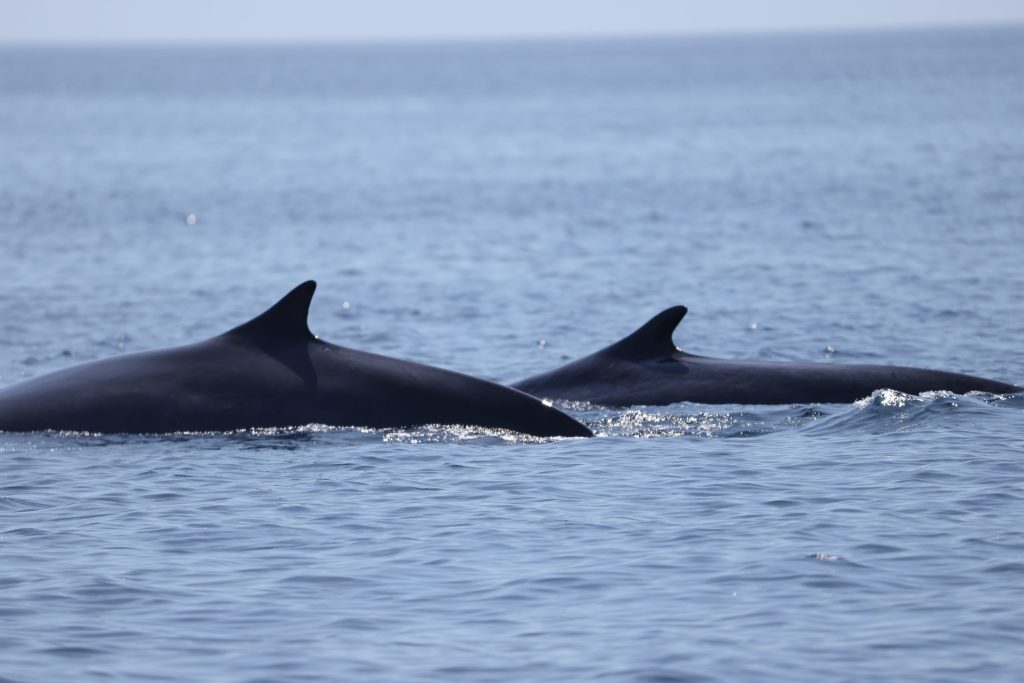 BP_2020_05_23-229_02-scaled