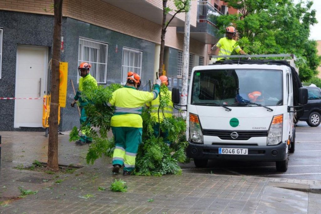 d36fc94a-5ab2-4335-aba5-a05a635aadb9