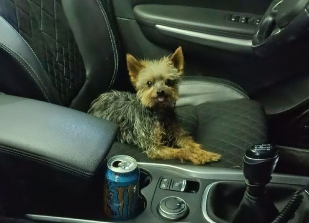 GUARDIA CIVIL 1 PORTADA