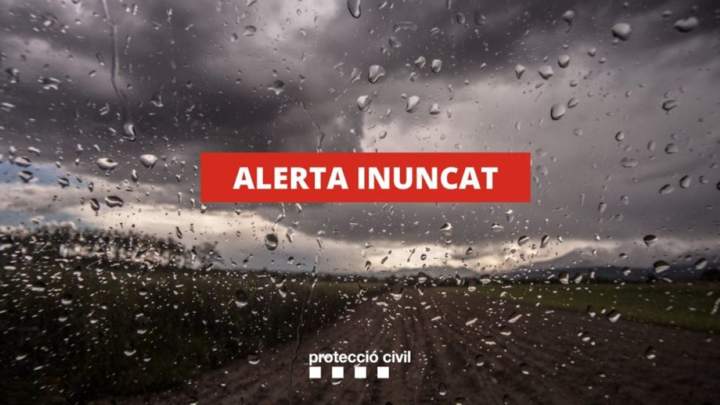 INUNCAT-1024x576