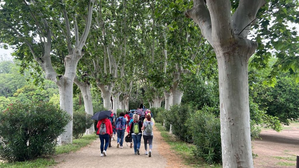 548533363_1082436534093458_3536640427489355913_n