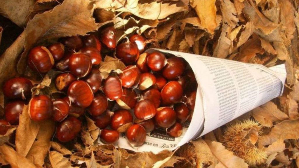 Castanyes-201021-1024x576