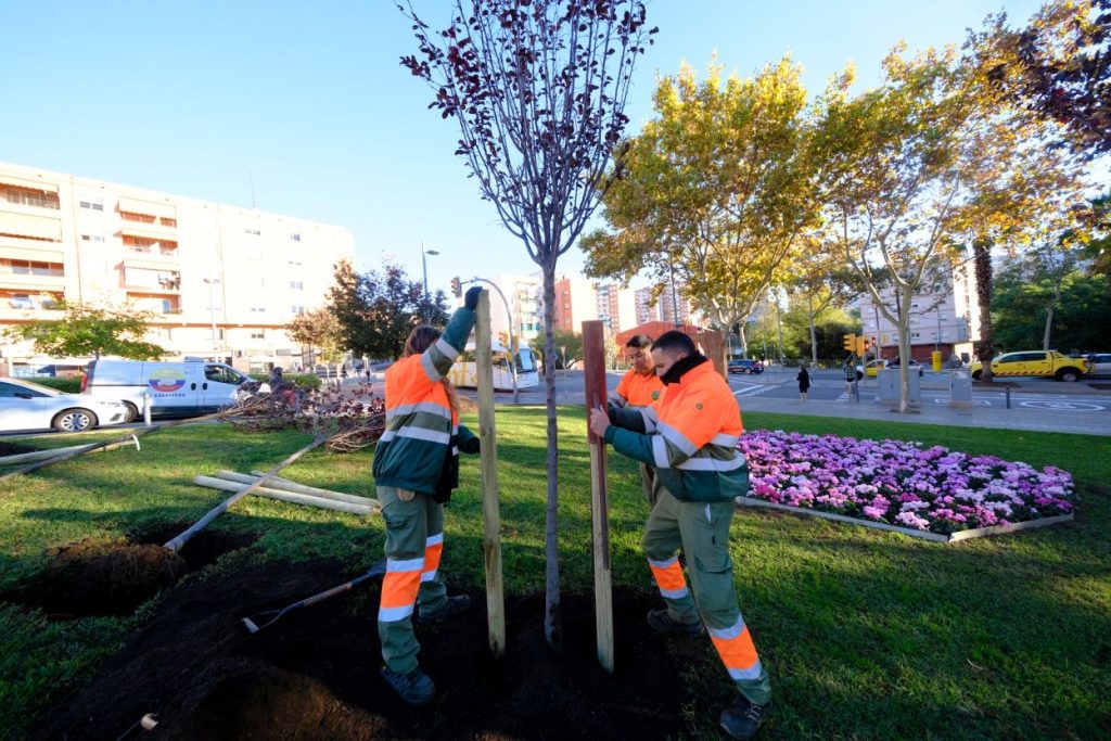 588654432_1139042891766155_5518503006671863395_n