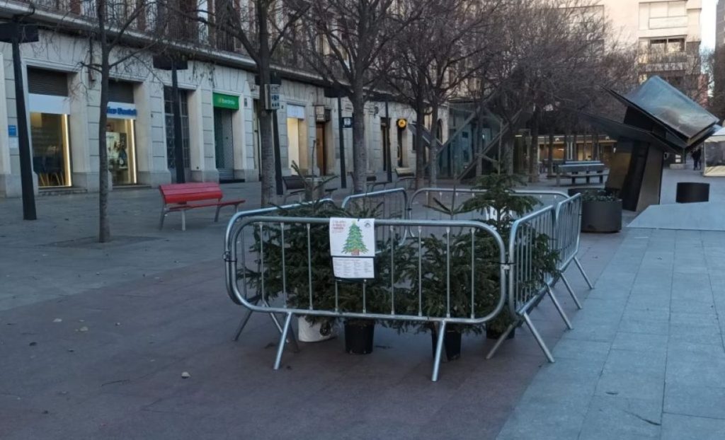 ARBRES-PORTADA-1024x622