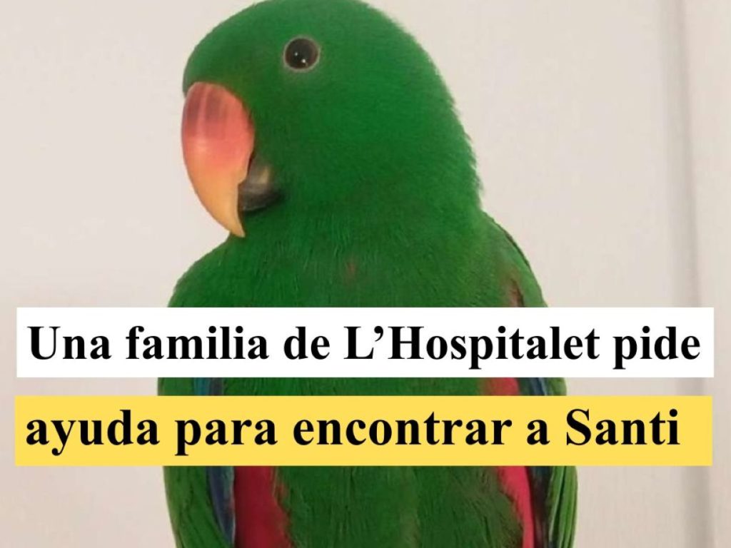 LORO PORTADA SANTI