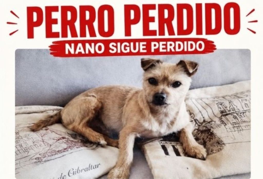 NANO PORTADA